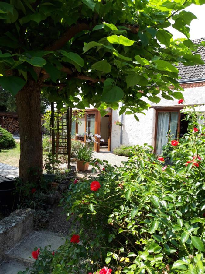 L'Orme Seul, Maison D'Hotes Vineuil  Exterior photo