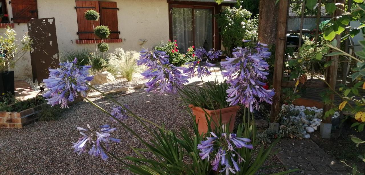 L'Orme Seul, Maison D'Hotes Vineuil  Exterior photo