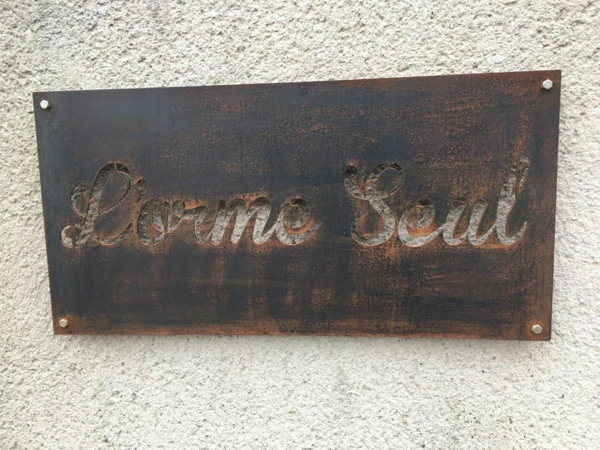 L'Orme Seul, Maison D'Hotes Vineuil  Exterior photo